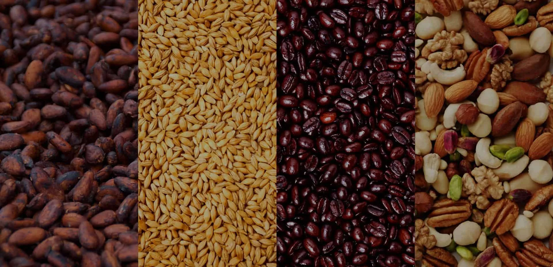 Cacao, grain, roasted coffee and nuts — everything an RK drum roasts