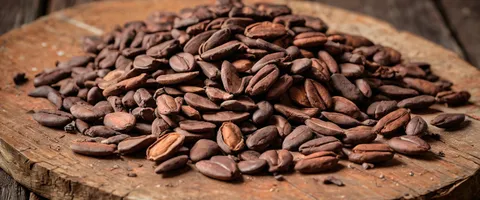 Cacao