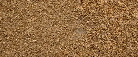 Grain