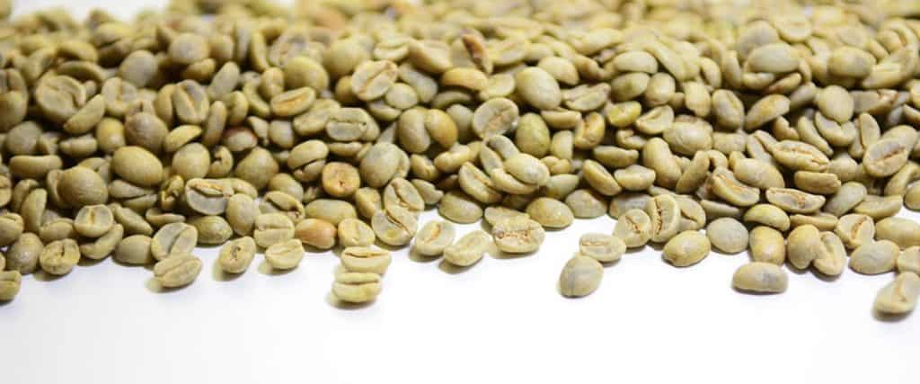 green coffee beans