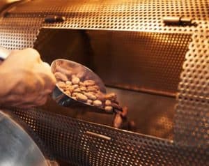 putting cacao beans into roasting machine