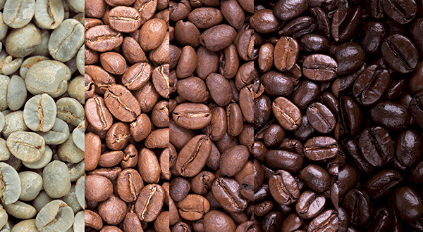 different colored roast stages of coffee beans