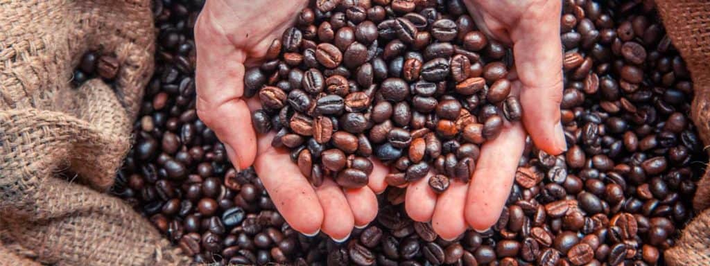 roasted coffee beans