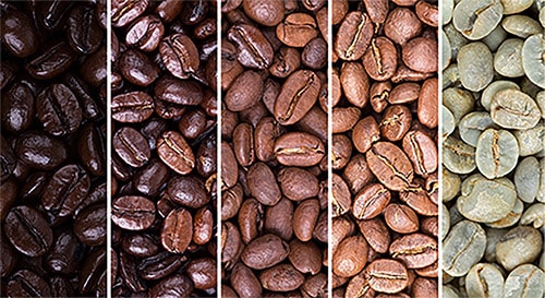 light to dark roast stages