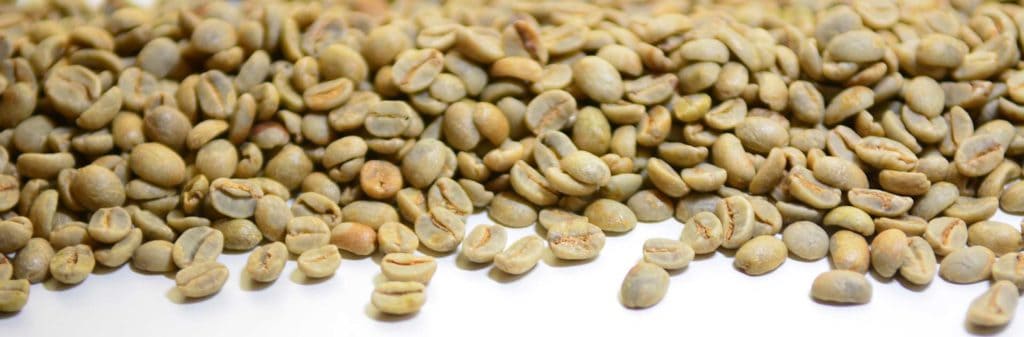 green coffee beans on white background