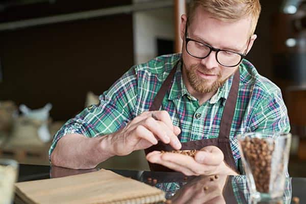 man inspecting coffee beans