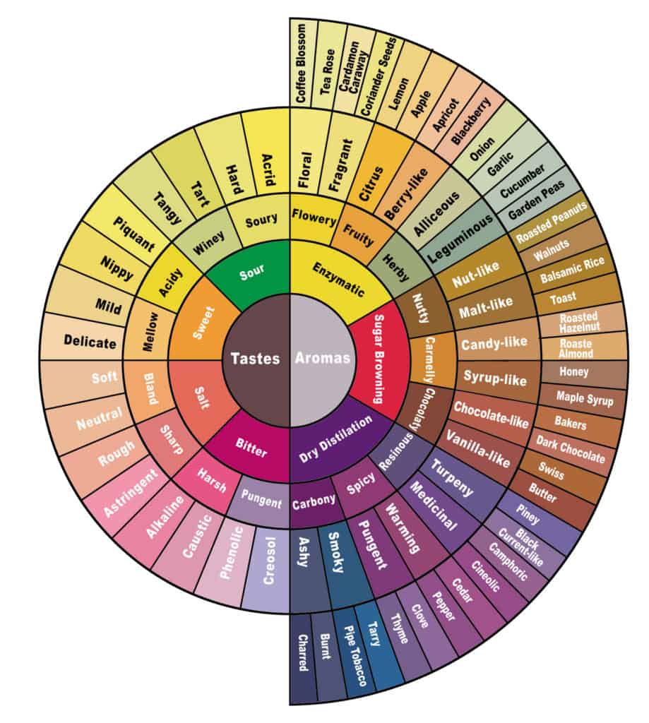 SCAA Coffee flavor wheel